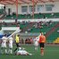 "Металлург-Оскол" - "Авангард" - 1:1