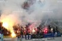 О Льве, крысах и Фурсенко