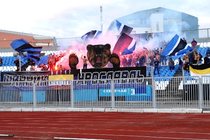 Ярославский медведь