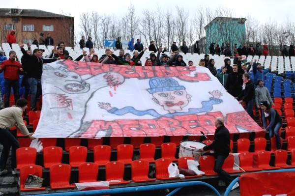 Северные медведи