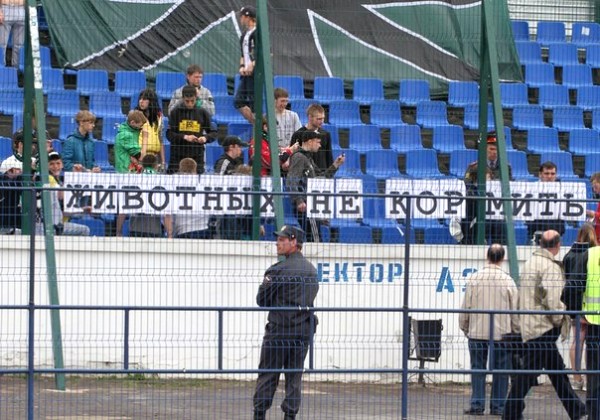 Животные