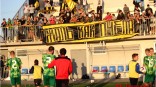 Порхай как бабочка, жаль как пчела!