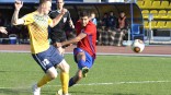 Порезвились